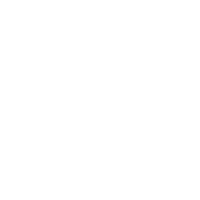 Executive Director Icon